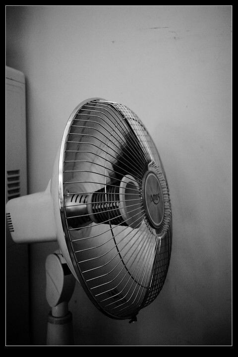 電熱風扇的原理、應用與選購指南