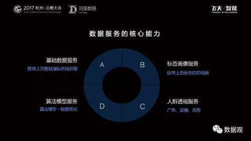 阿里數(shù)據(jù)服務(wù)產(chǎn)品開發(fā)及大數(shù)據(jù)體系實(shí)錄